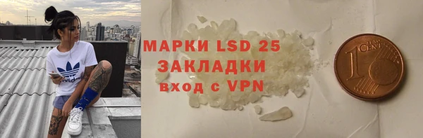 индика Краснотурьинск