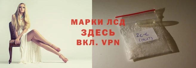 ECSTASY Лабытнанги