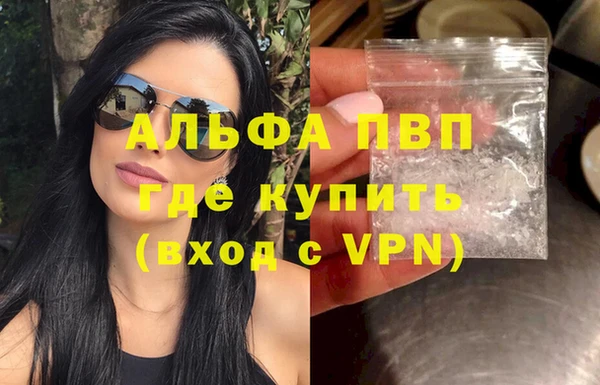 индика Краснотурьинск