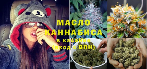 индика Краснотурьинск