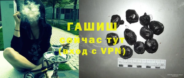 индика Краснотурьинск