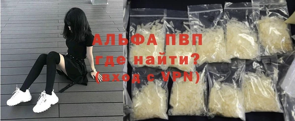 индика Краснотурьинск