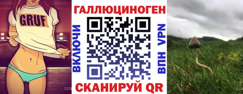 дарнет шоп  Курчатов  Галлюциногенные грибы Psilocybe 